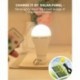 Flyhoom Rechargeable Solar Light Bulb with Remote, 180LM 4 Light Modes, 2 Pack Solar Camping Lights Hanging LED Tent Light Bulb for Camping Hiking Emergency Indoor